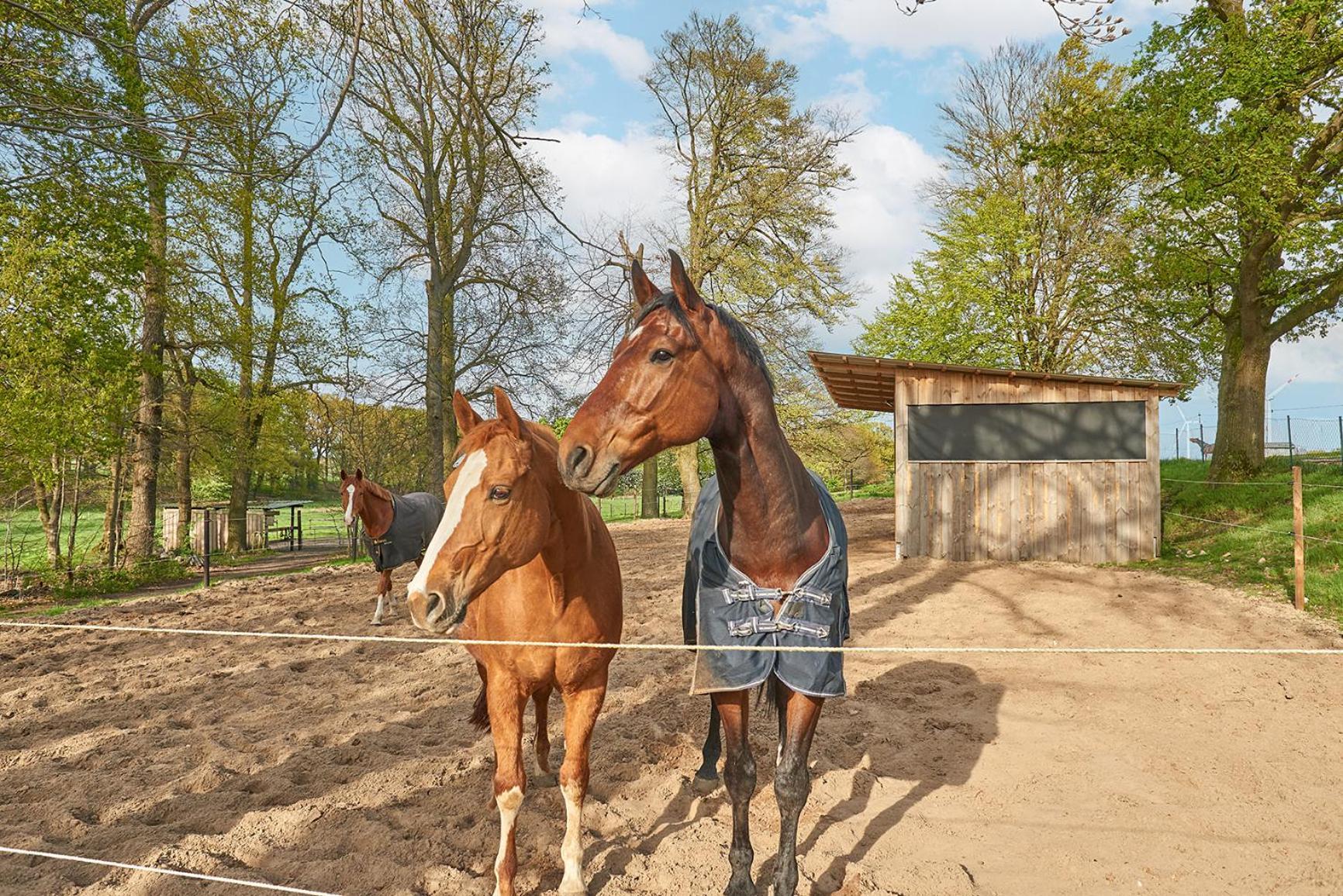 Backhus Nordkampen *