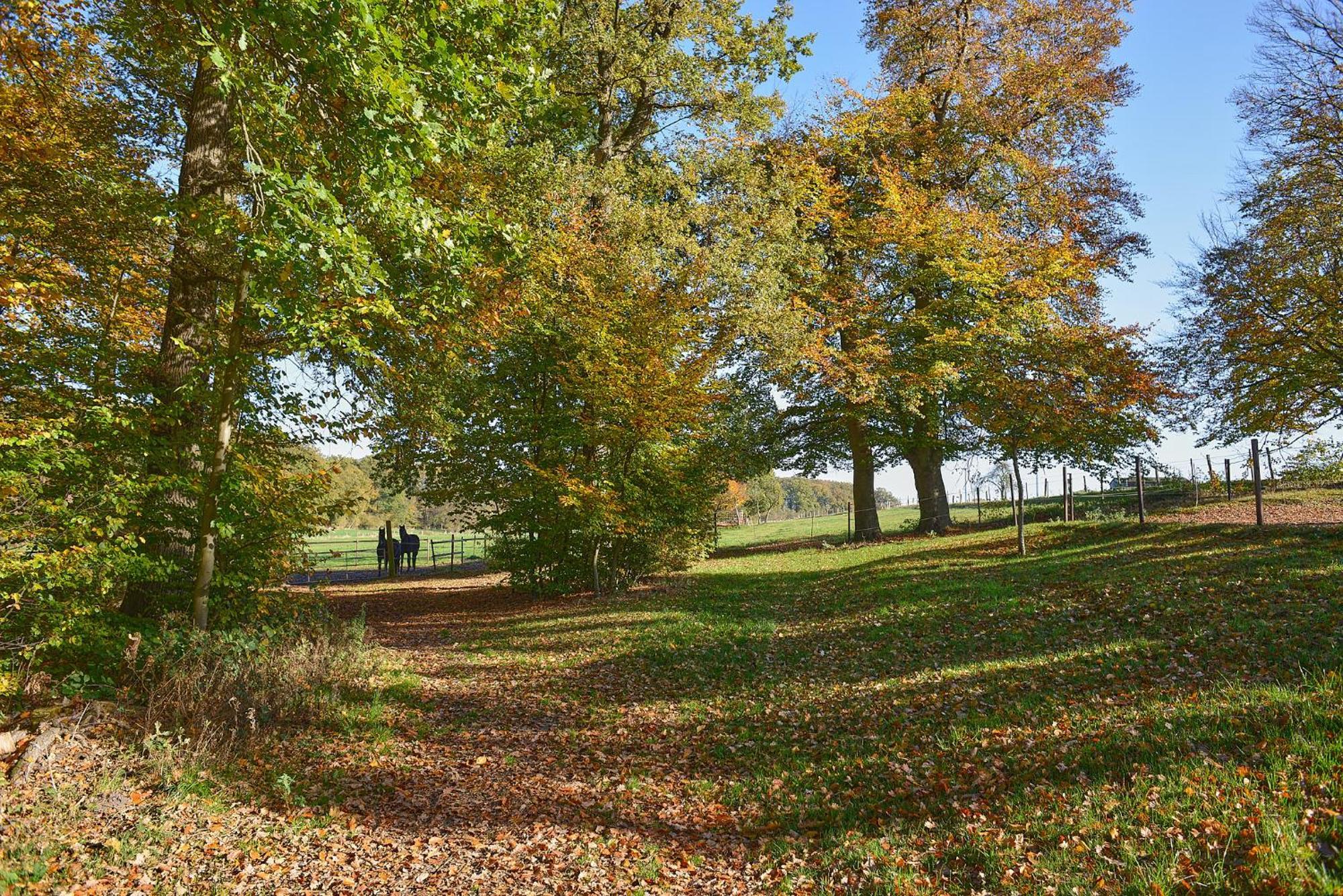 Ferienhaus Backhus Nordkampen